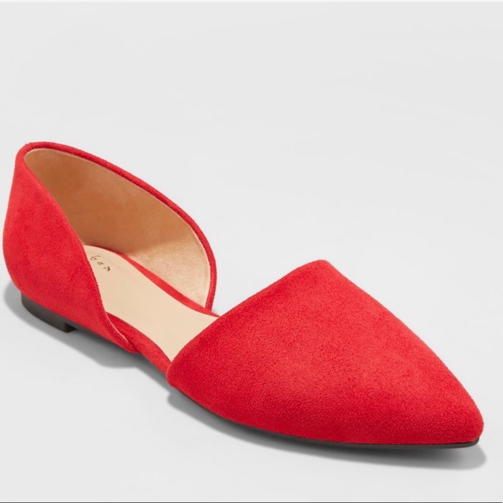 NWOT Pointed Ballet Flats